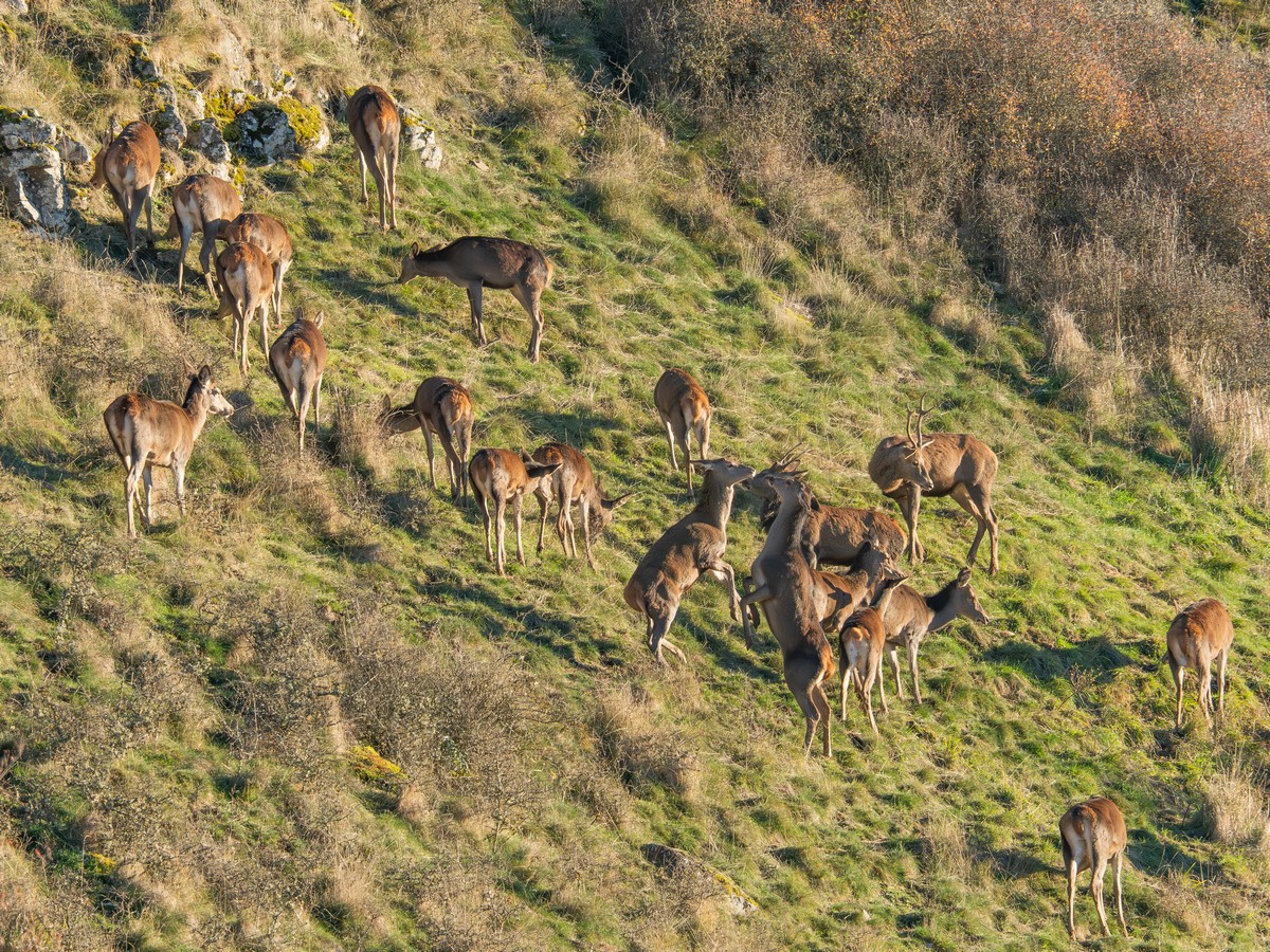 18112025-18 11 25 (15).jpg